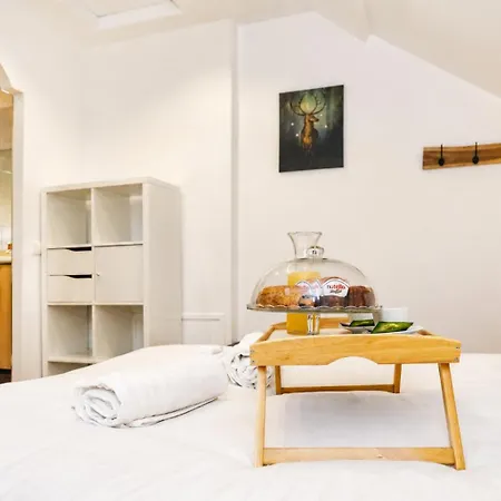 Le Perchoir - Cosy Flat Apartment Senlis (Oise)